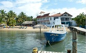 Brisas Del Mar Beach + Dive Resort